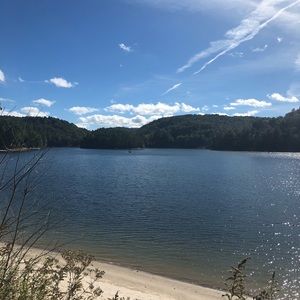 Meet your Posher, Barbara